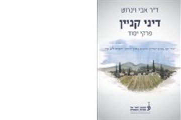 דיני קניין פרקי יסוד